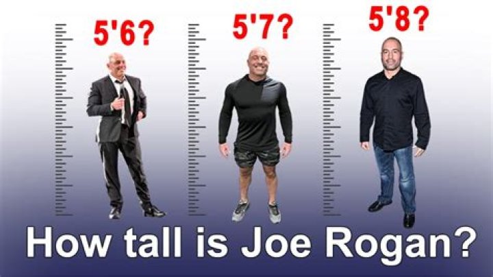 Joe Rogan Height (Proof with Visual Comparison) Heartafact