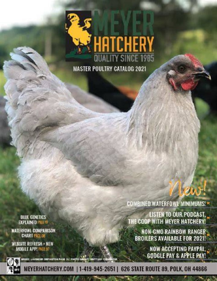 Meyer Hatchery 2021 FullColor Catalog